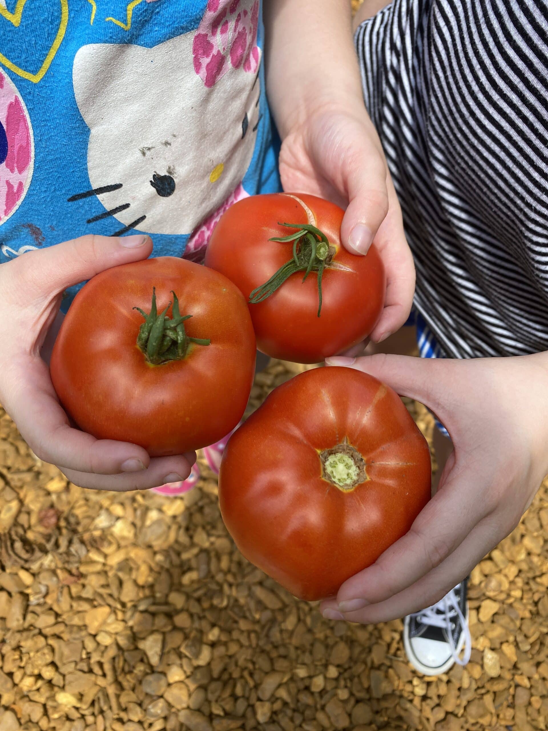 Caring Grows Here Fayette Cares