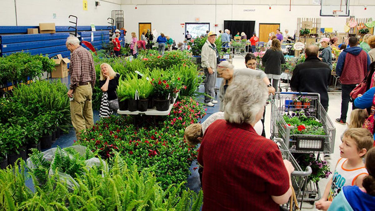 plant-sale-oes-750